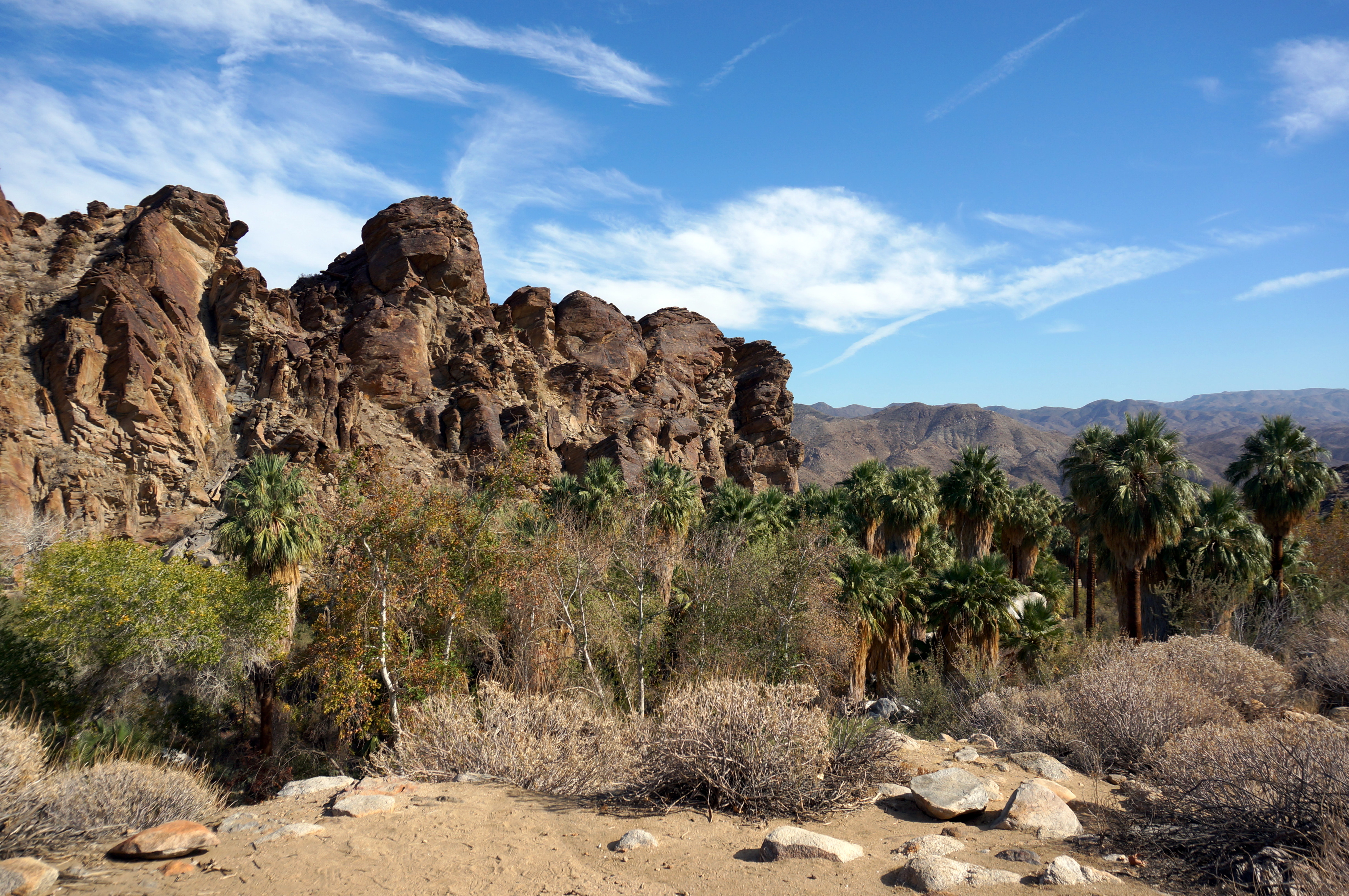 Family Friendly Hiking in Palm Springs at Indian Canyons - No Back Home