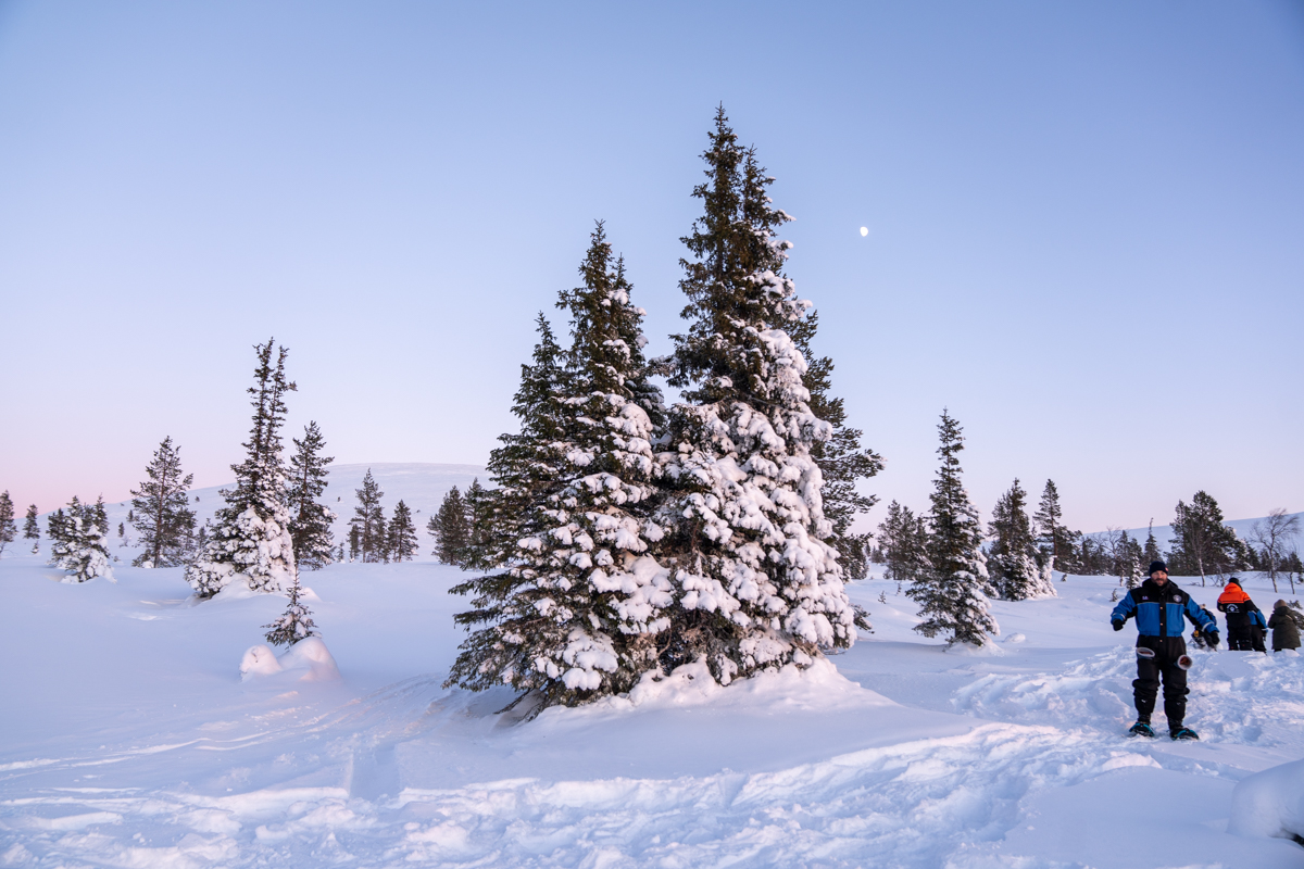 Finnish Lapland winter escape at Harriniva Resorts