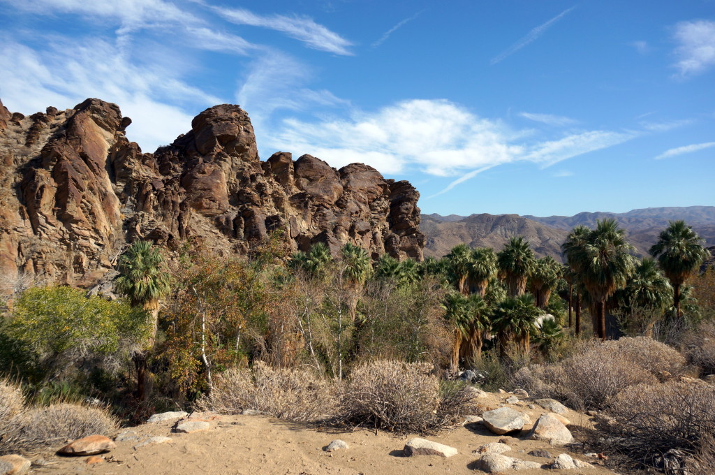 Family Friendly Hiking in Palm Springs at Indian Canyons No Back Home