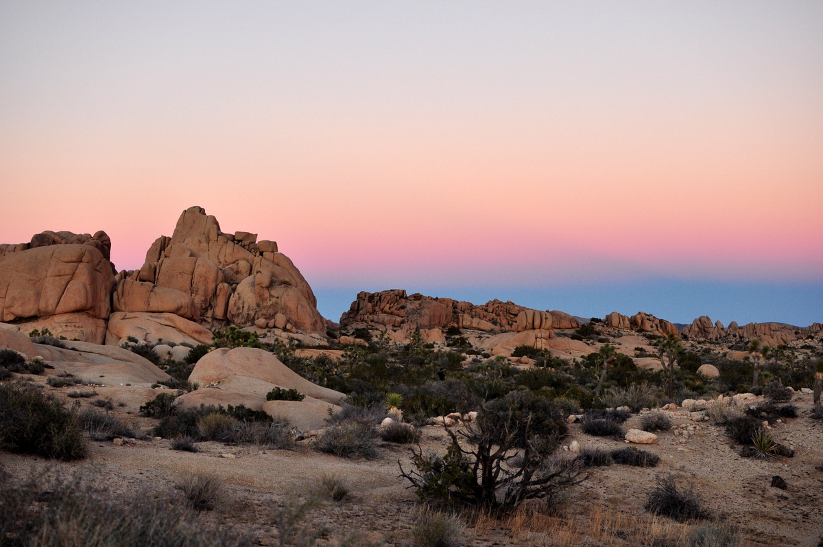 Things to do in Joshua Tree with kids