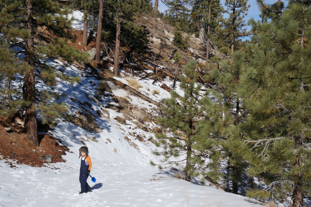 Where to Find Snow Near Los Angeles That Kids Will Love No Back Home