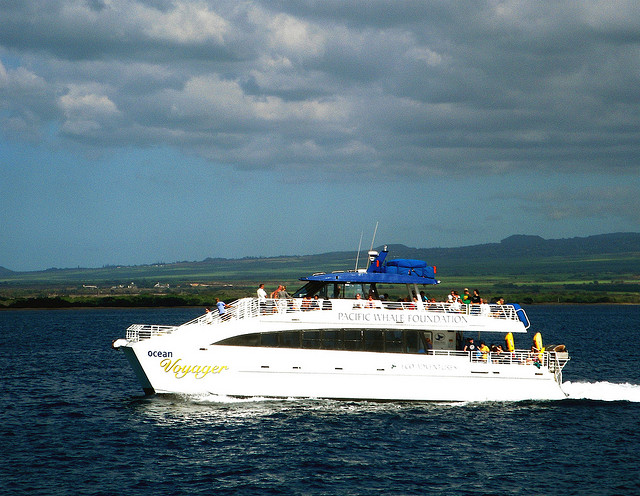 Things to Do in Hawaii Big Island - take a boat excursion