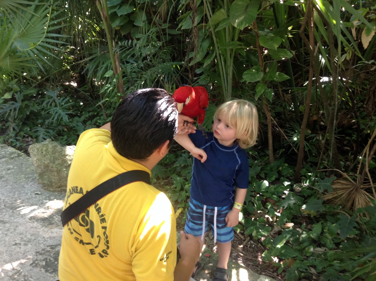 Xcaret, Top Tips for Family Fun