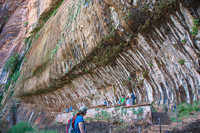 Weeping Rock trail is a great family friendly Zion hikes