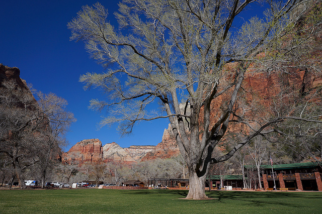 Best of Zion National Park Lodging