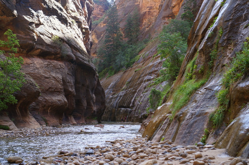 Zion Narrows Hike with Kids