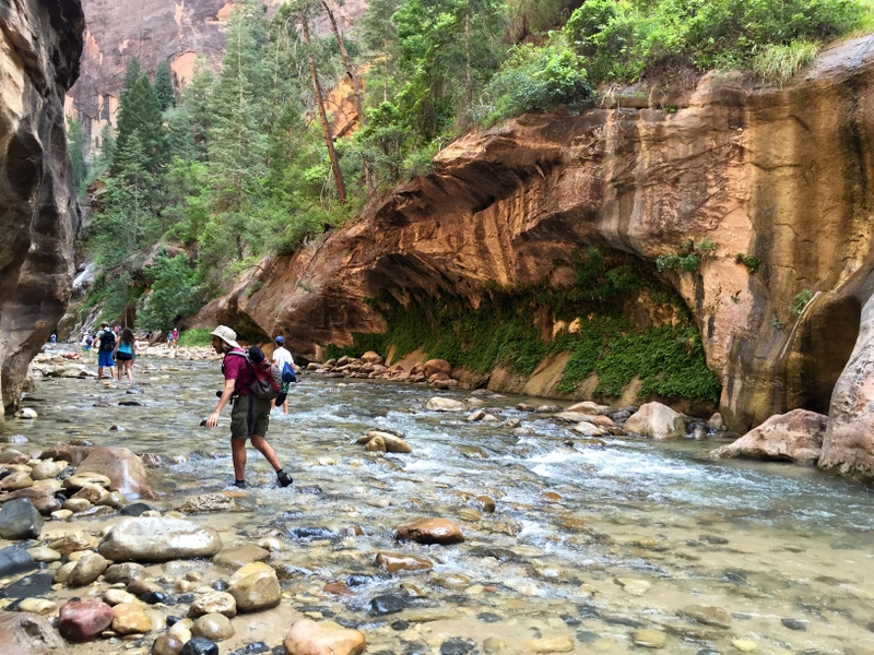 Zion Narrows Hike with Kids
