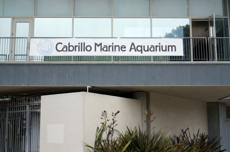 Cabrillo Marine Aquarium in San Pedro, CA