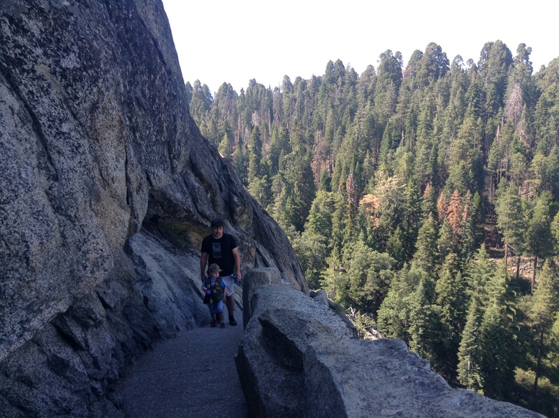 Things to do in Sequoia National Park in One Day - hiking Moro Rock