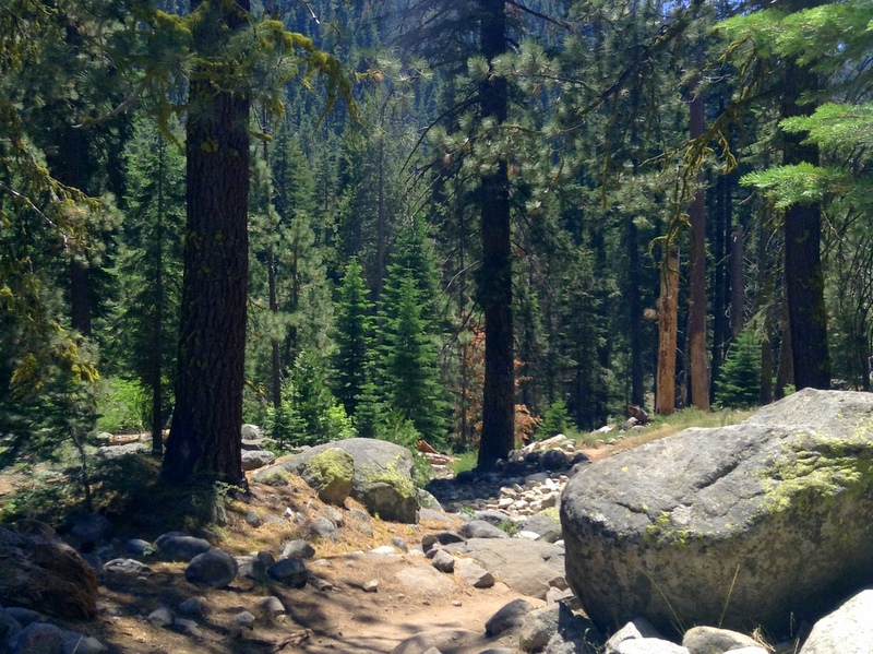 Visiting Sequoia National Park in One Day - Tokopah Falls Trail