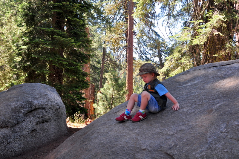 Things to do in Sequoia National Park in One Day - Lots of time to rock climbing!