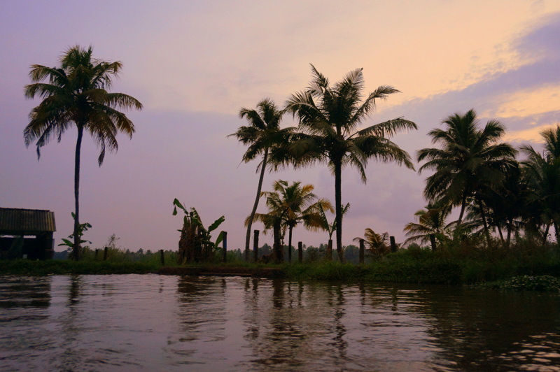 Sunset on the Backwaters - Kerala with Kids