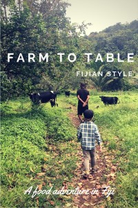 Farm to table, Fijian style: A food adventure in Fiji.