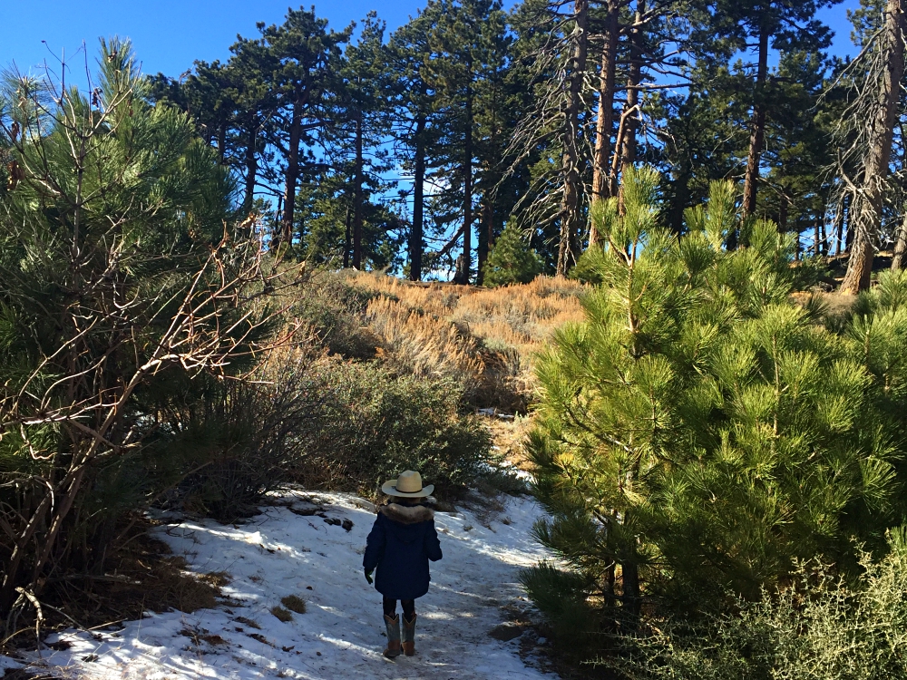 what to do in wrightwood