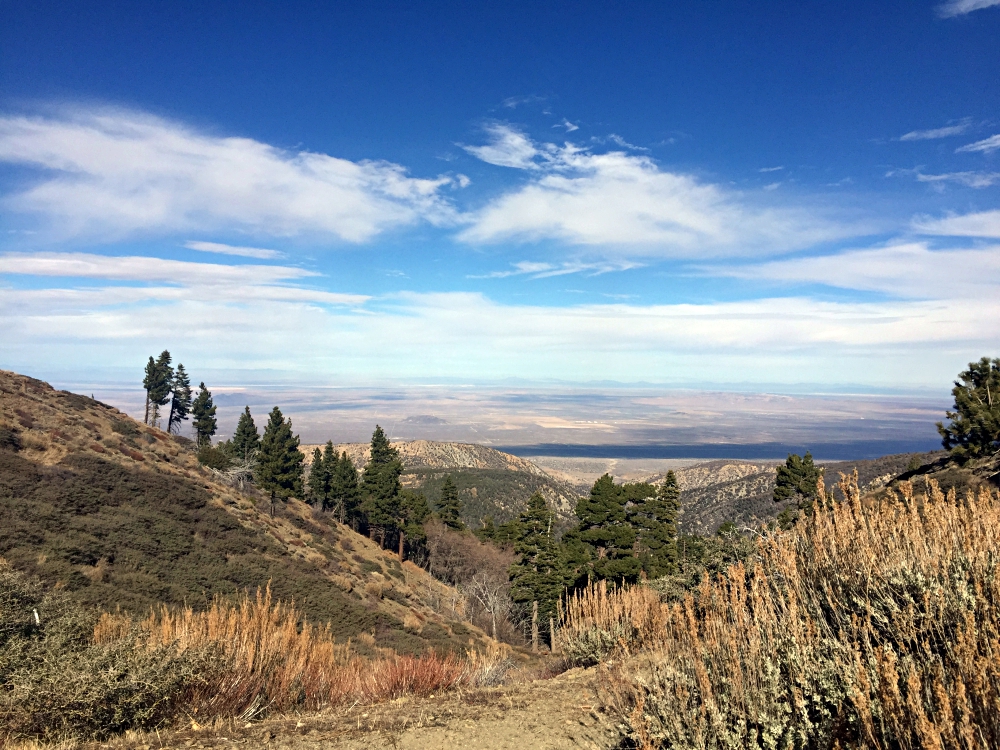 What to do in wrightwood
