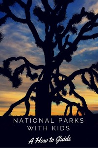 National Parks with Kids: A how to guide