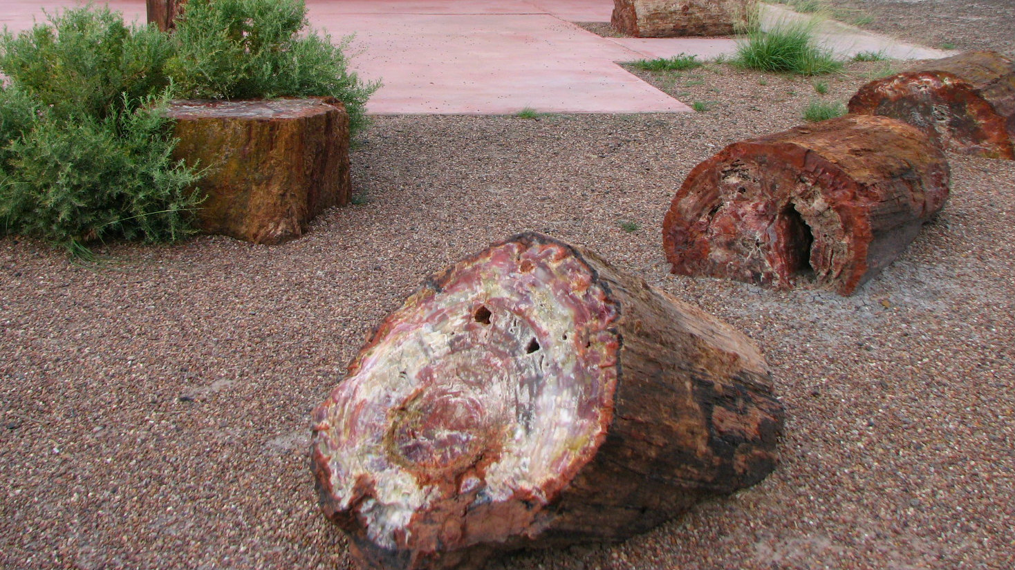 Best National Parks for Famlies, Petrified Forest National Park