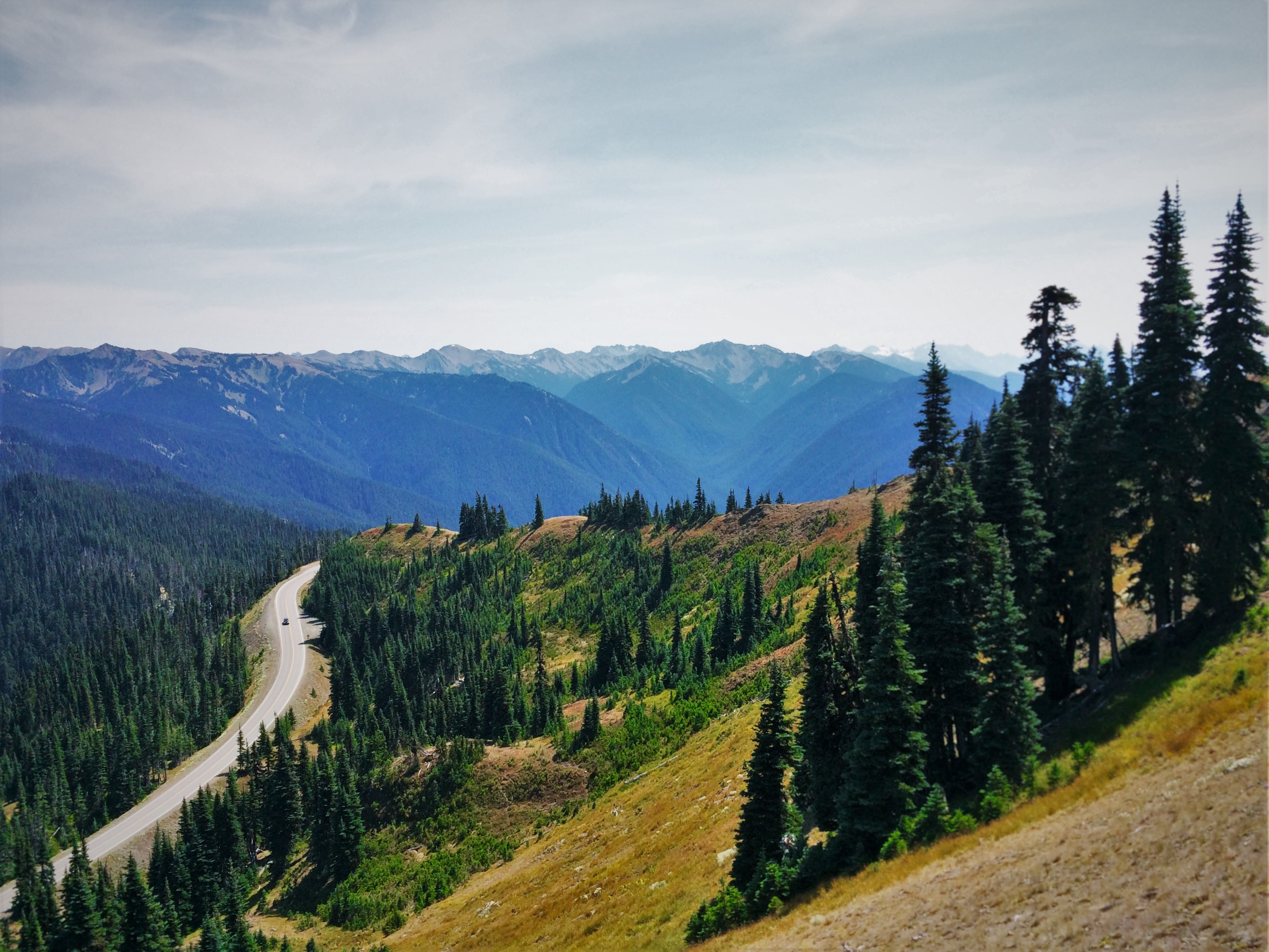 Road to Hurrican Ridge 1 - Olympic National Park