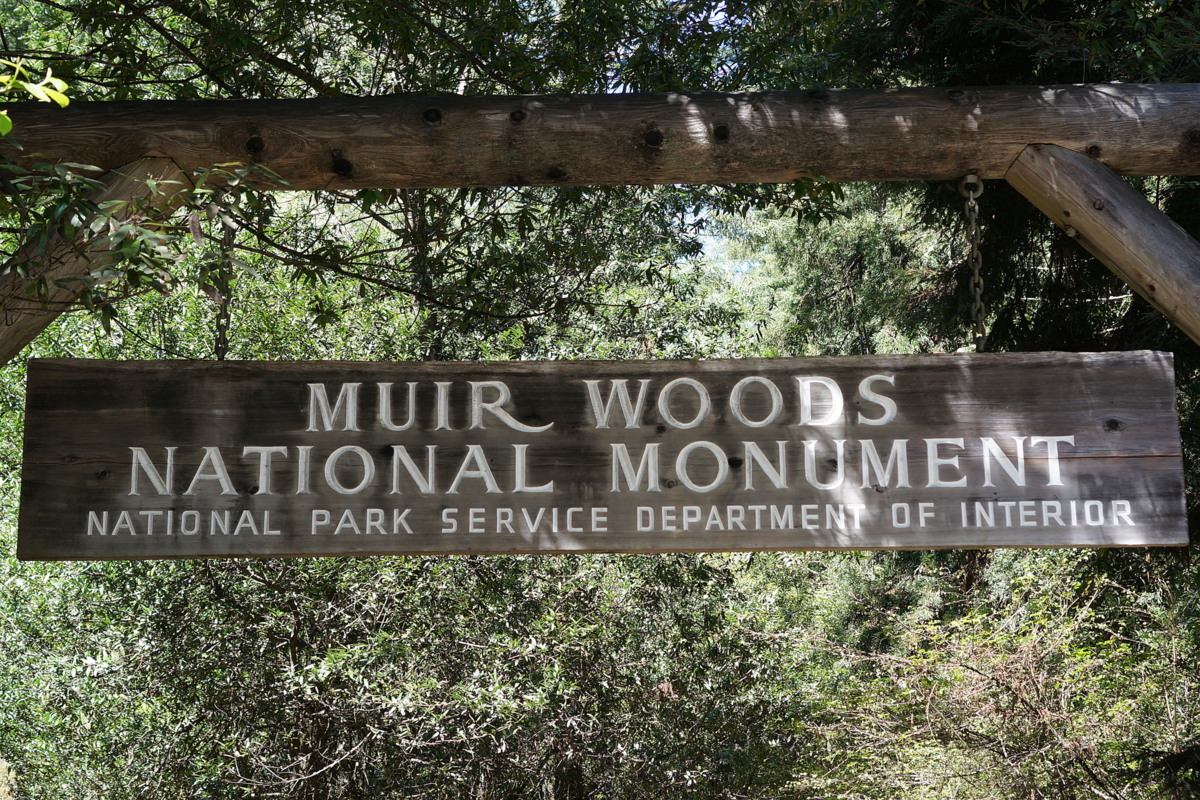 Family Day Trip to Muir Woods