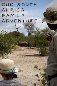 Our South Africa family Adventure - recap!