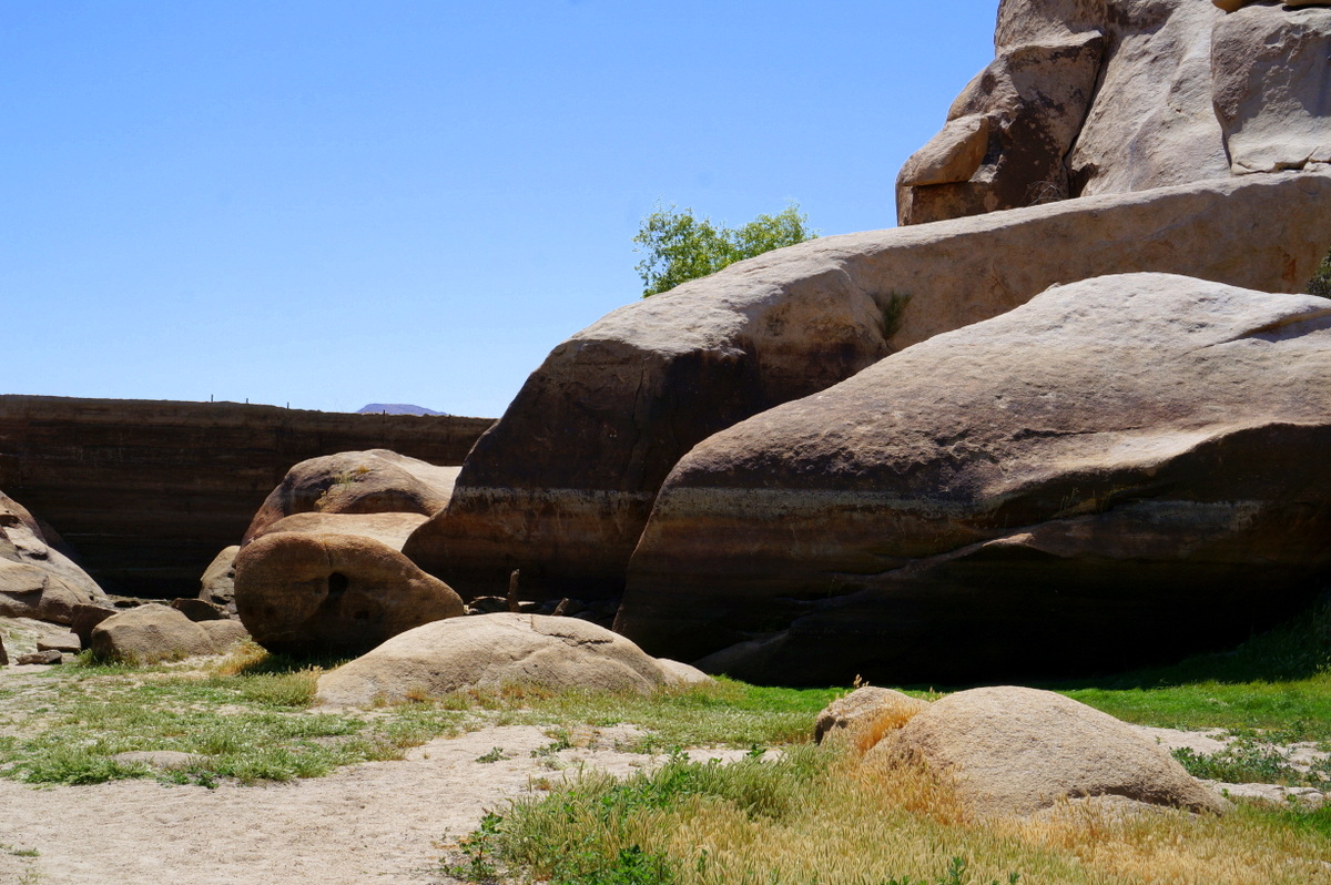 Off the Beaten Path with Joshua Tree Excursions