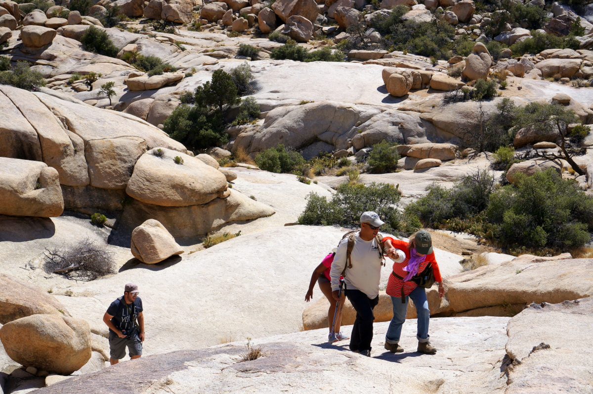 off the  beaten path with Joshua Tree Excursions