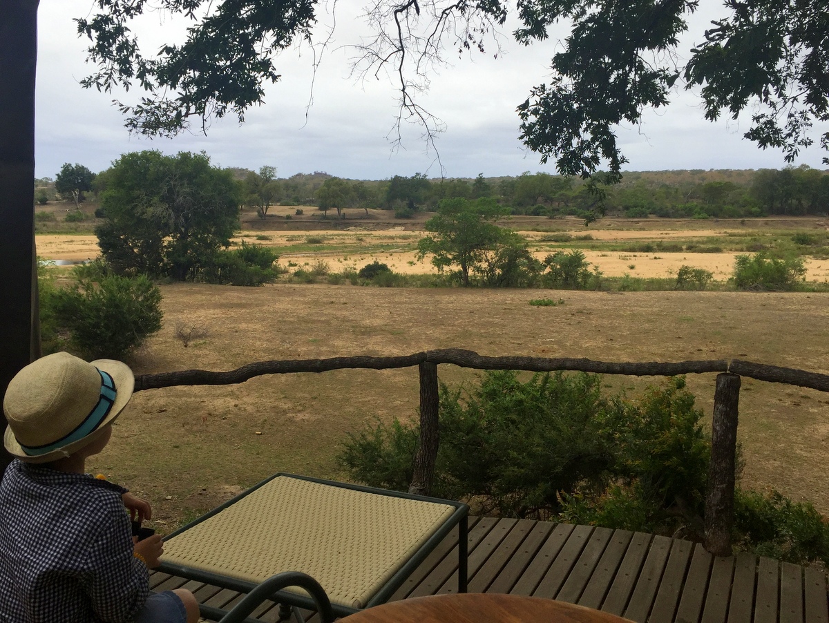Safari at MalaMala Game Reserve