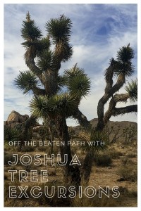 Test your limits, be challenged and get off the beaten path in Joshua Tree with Joshua Tree Excursions.