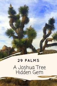 29 Palms, CA is an eclectic artistic hub, often overlooked while visiting Joshua Tree