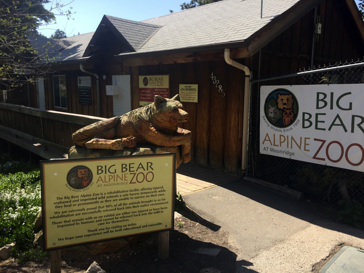 One of the great things to do in Big Bear : Summer Edition is to visit the Alpine Zoo.