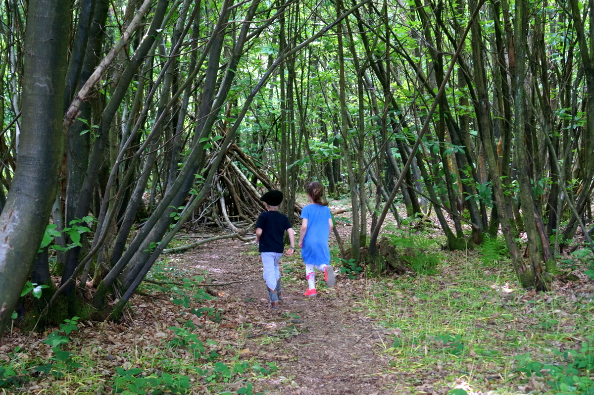 Adventure Play Forests - England's Outdoor Secret