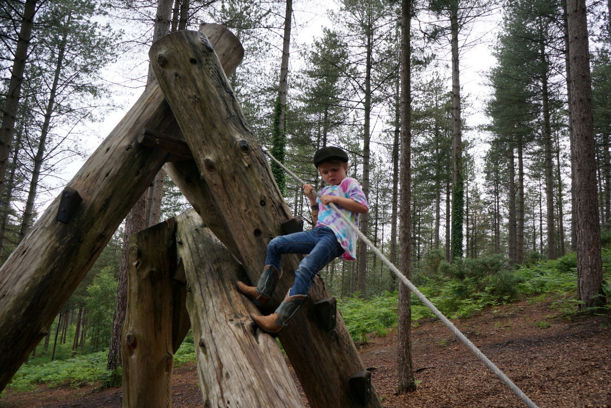 Adventure Play Forests - England's Outdoor Secret