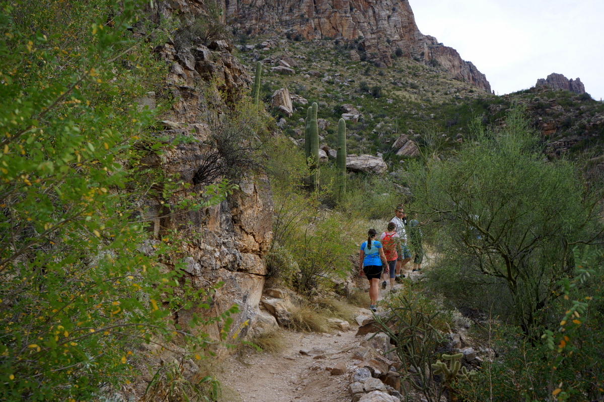 Top 10 Things to do in Tucson for families