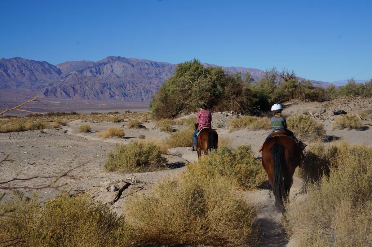What to do in Death Valley with Kids - Horseback Riding