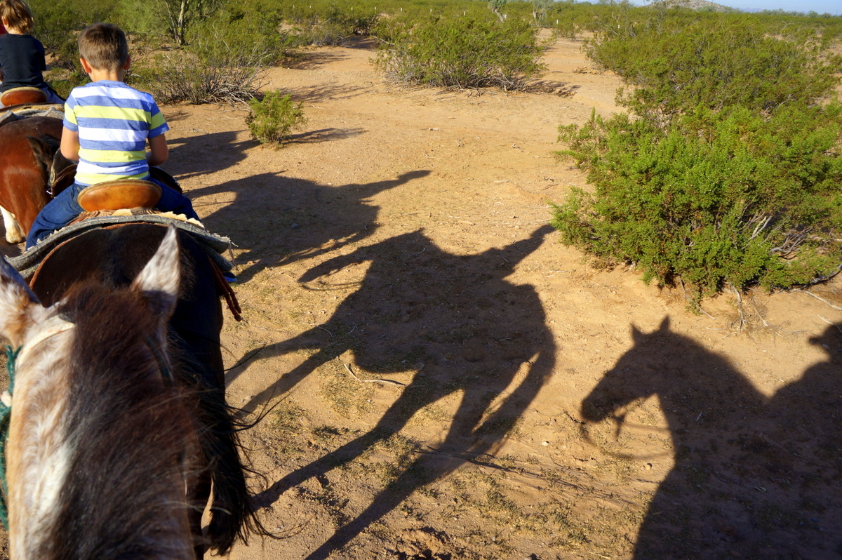 Horseback Riding in Tucson