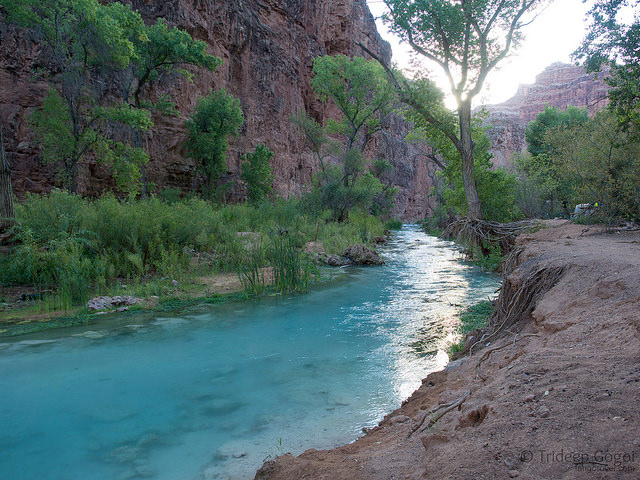 6 Things Not to miss at the Grand Canyon
