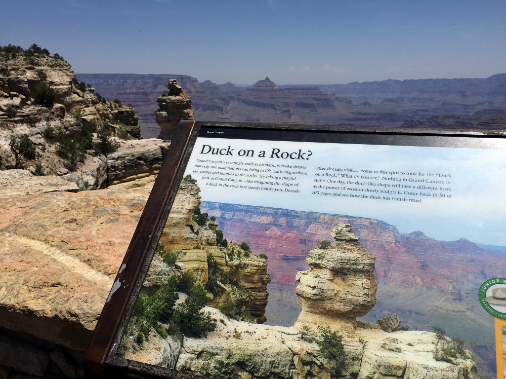 6 Things not to miss at the Grand Canyon