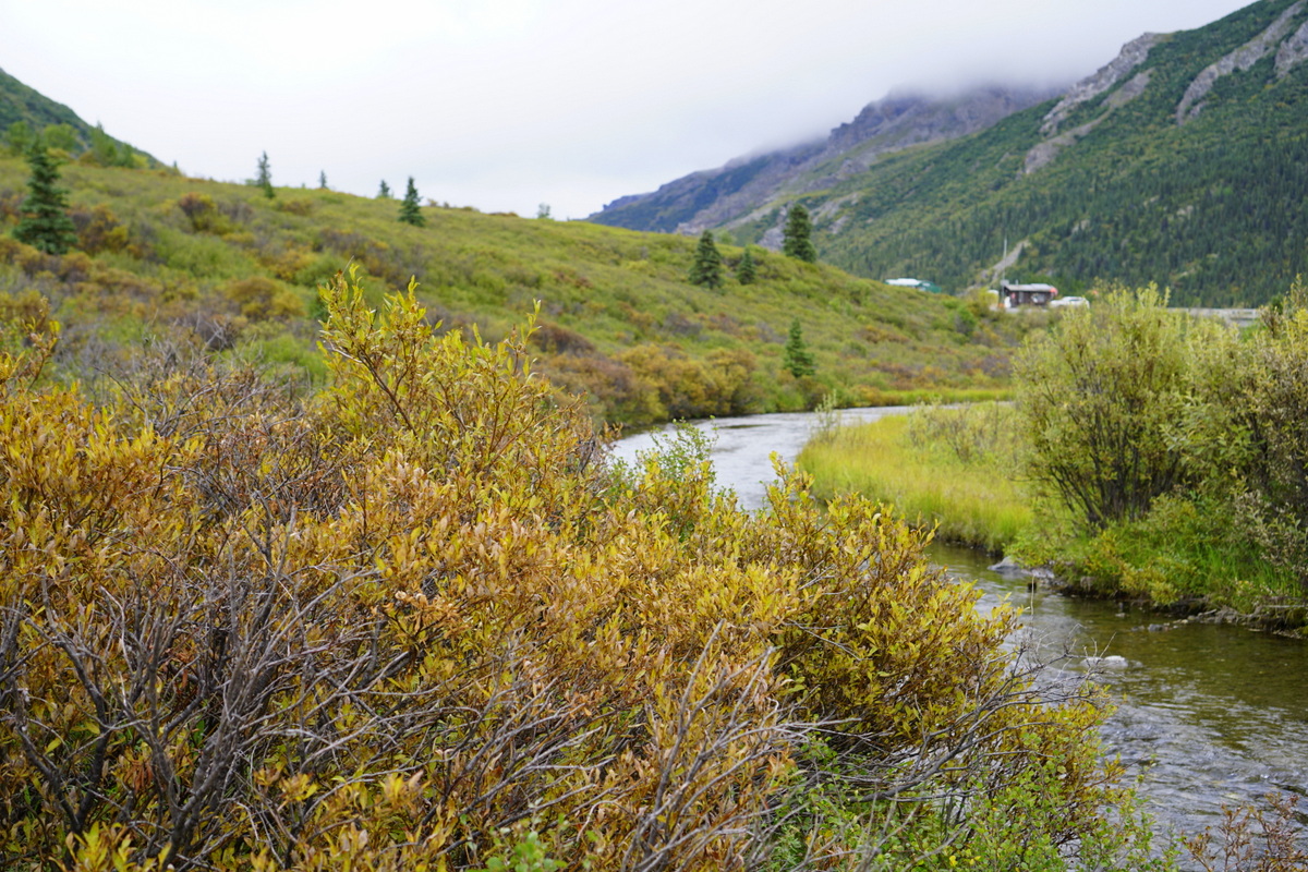 Alaska road trip with Thrifty Rental Car -Denali National Park