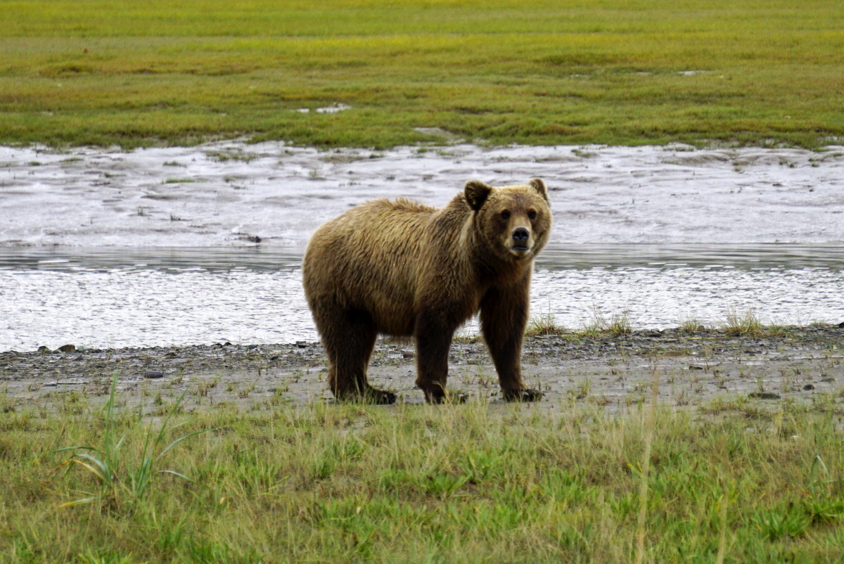 7 Things to Know Before You Go to Alaska