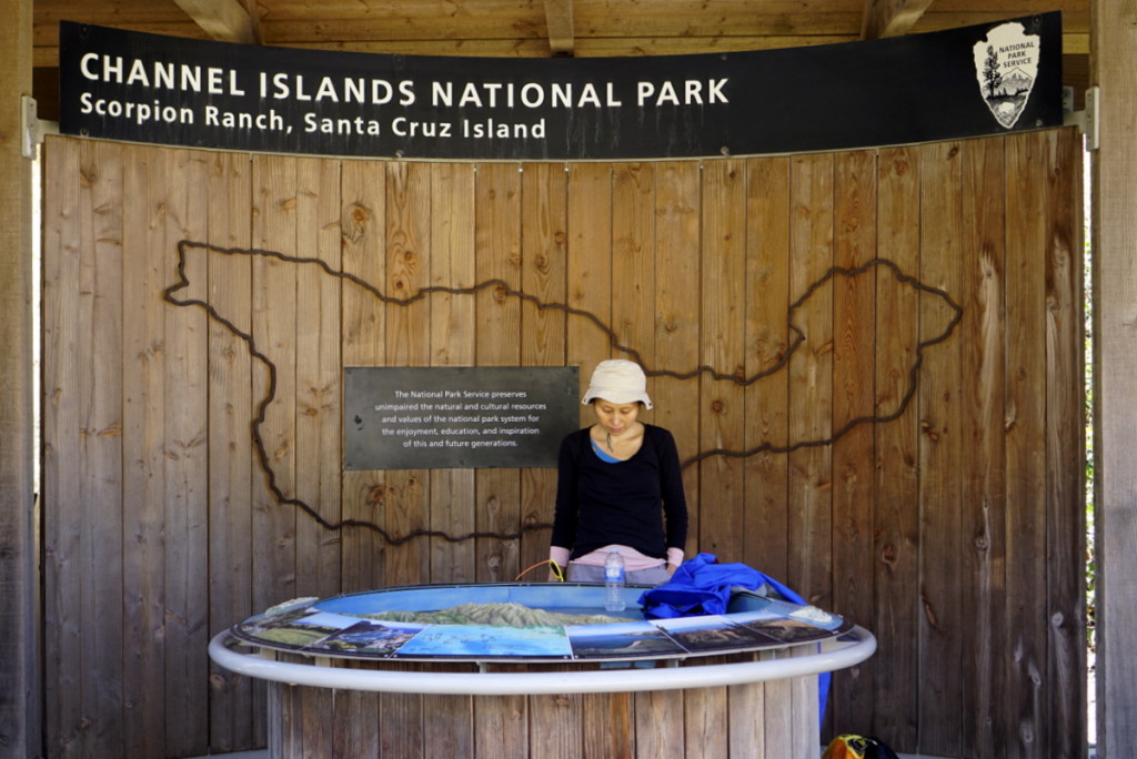 Guide to Channel Islands National Park