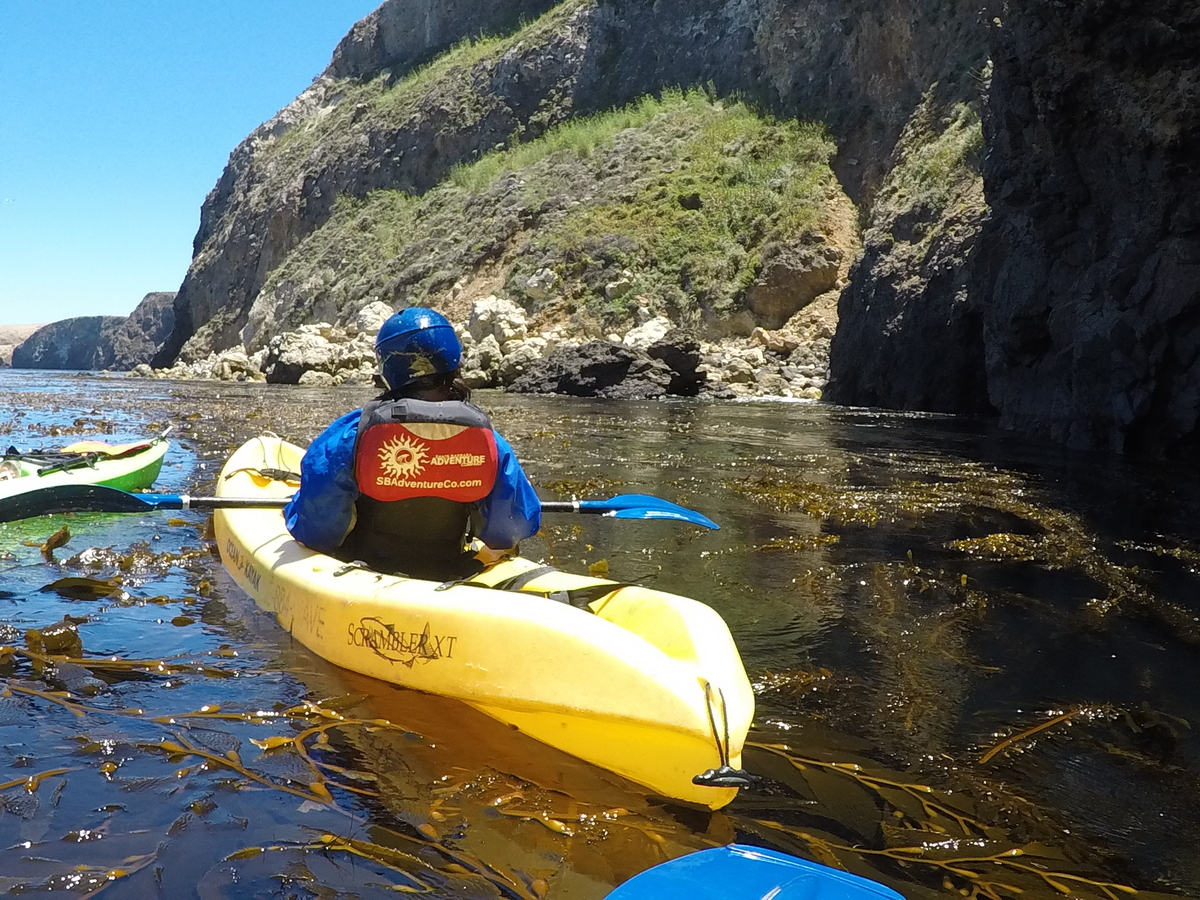 Channel Islands Kayaking tour is a great way to learn about the park and it's inhabitants