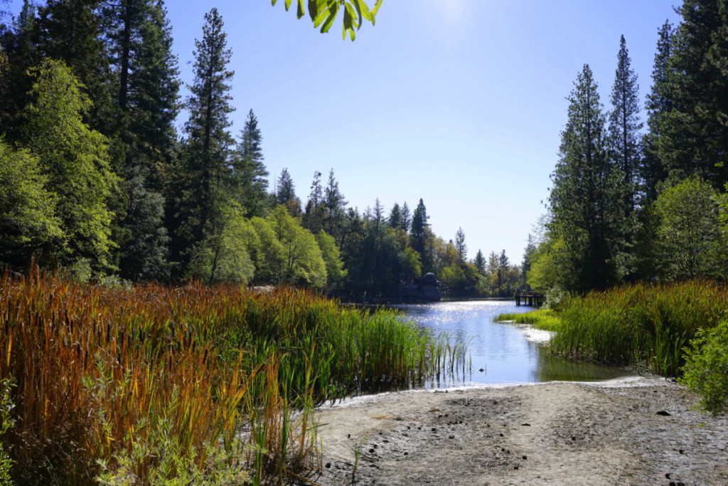 Idyllwild Camping, Glamping & Fun Things to Do No Back Home