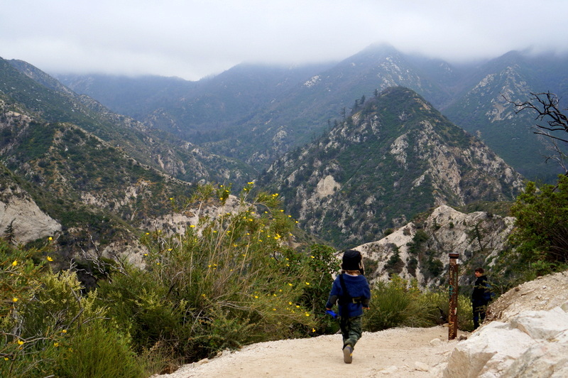 Hiking with Kids: Tips to Keep them moving