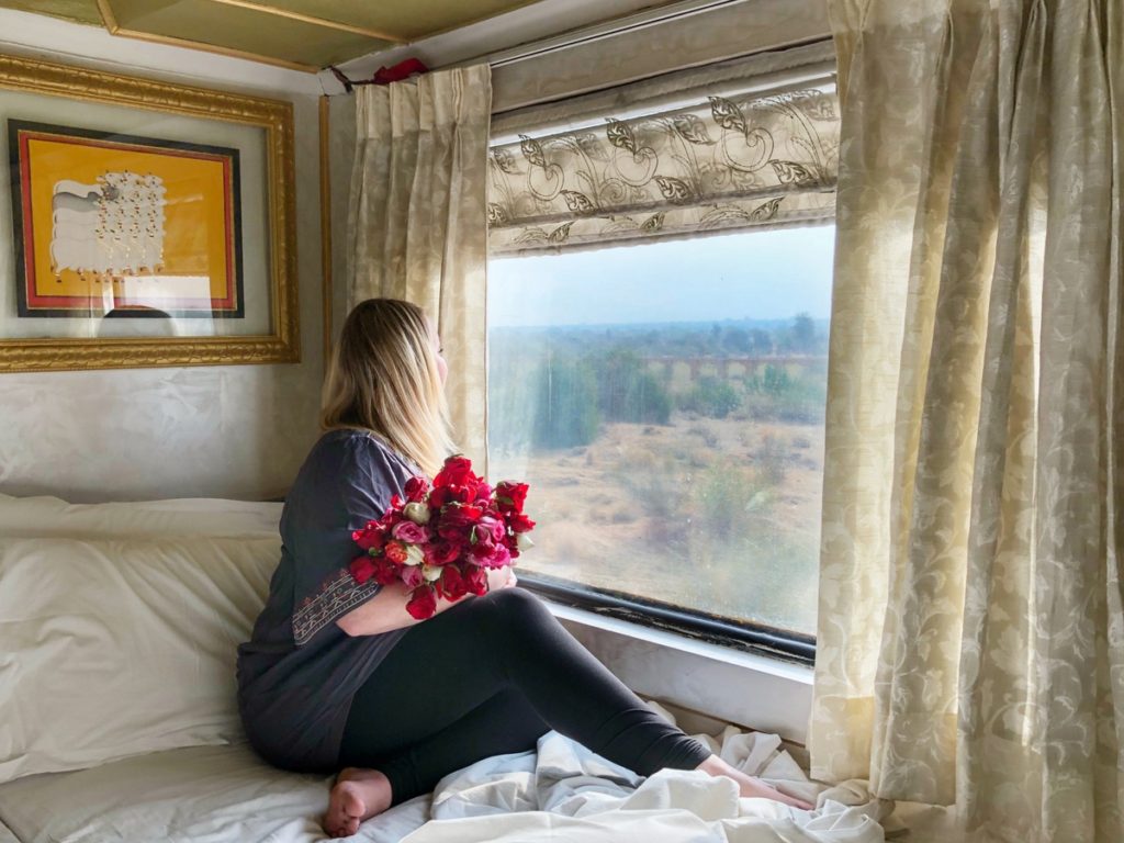 Palace on Wheels review