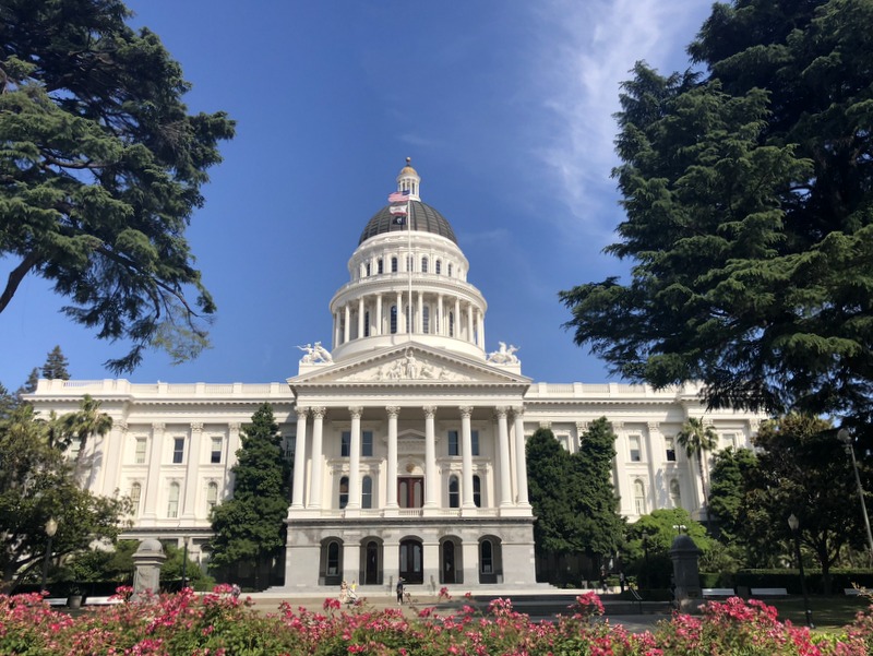 Visiting the State capitol is a must do kid's activity when in Sacramento
