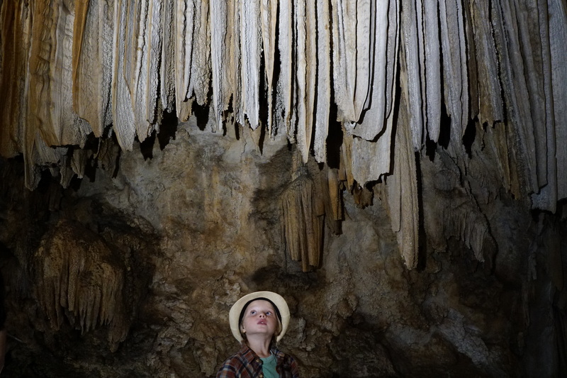 Lake Shasta Caverns are another must see northern California attraction.