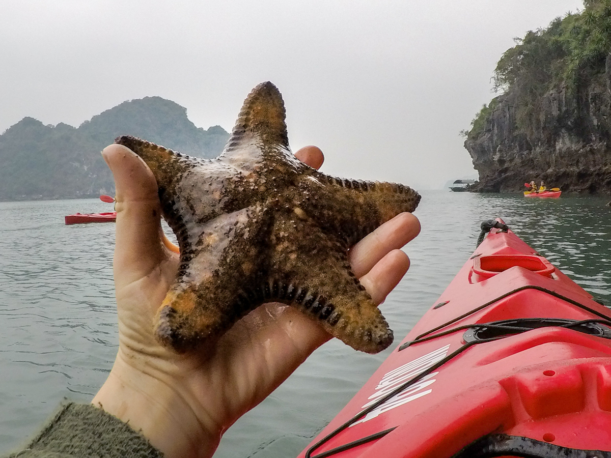 Kayaking on a Halong Bay Cruise with Indochina Junk