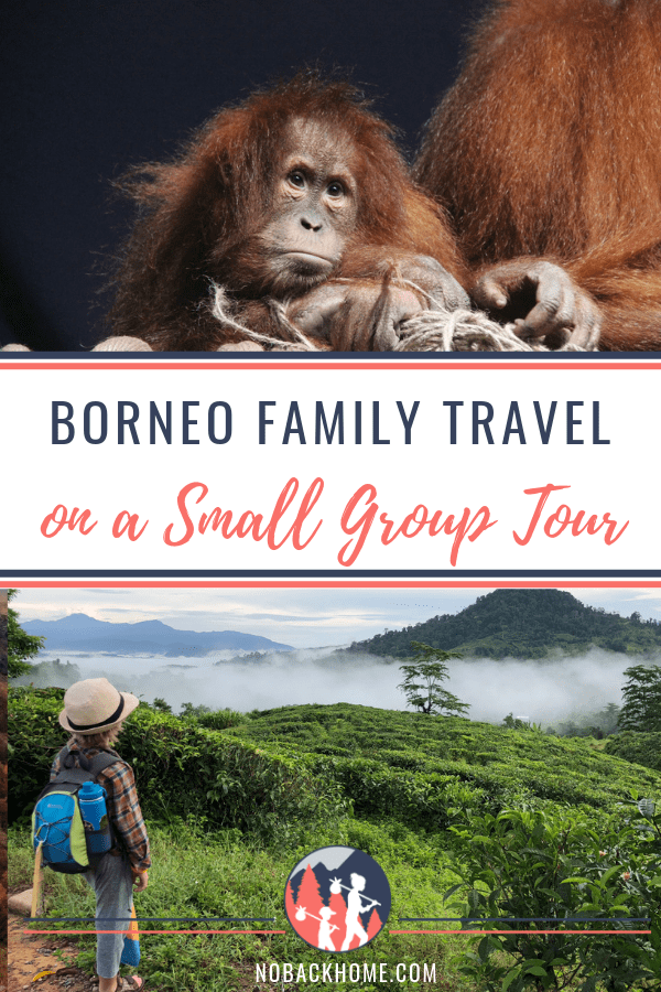 Borneo Family Holiday with Intrepid Travel is a great way to see the highlights of the island.