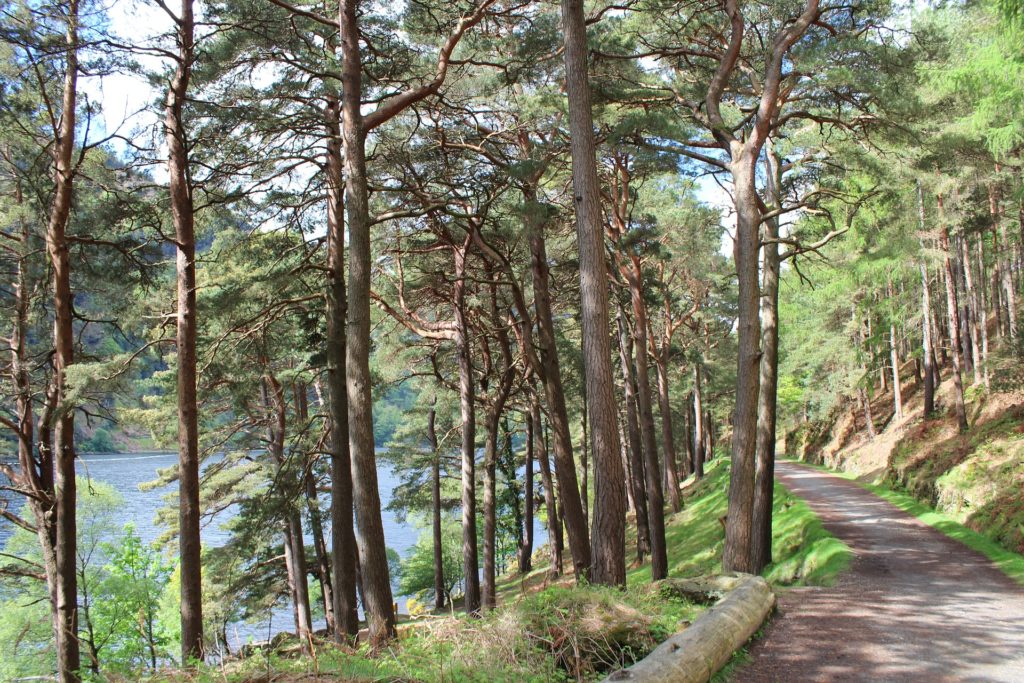 If you need some nature, head to Glendalough for some nice lakeside hiking.