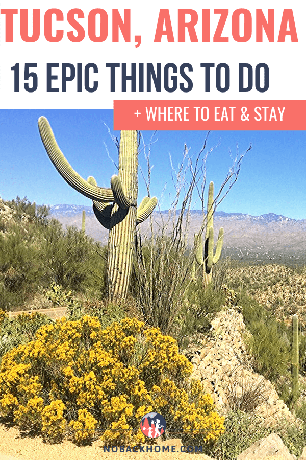15 Fun Things To Do In Tucson With Kids